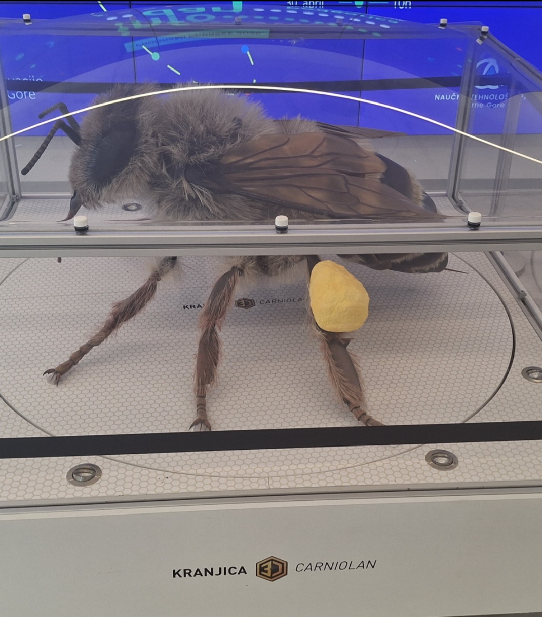 3D Carniolan bee at the Science and technology Park: A fusion of Science, tradition, and innovation